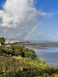 Rainbow over coastal bay with green hillside, town buildings, and cloudy sky