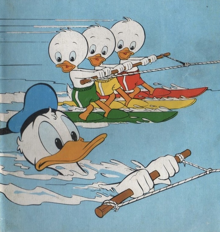 Donald Duck swimming in water while three ducklings water ski behind him on yellow, orange and red skis