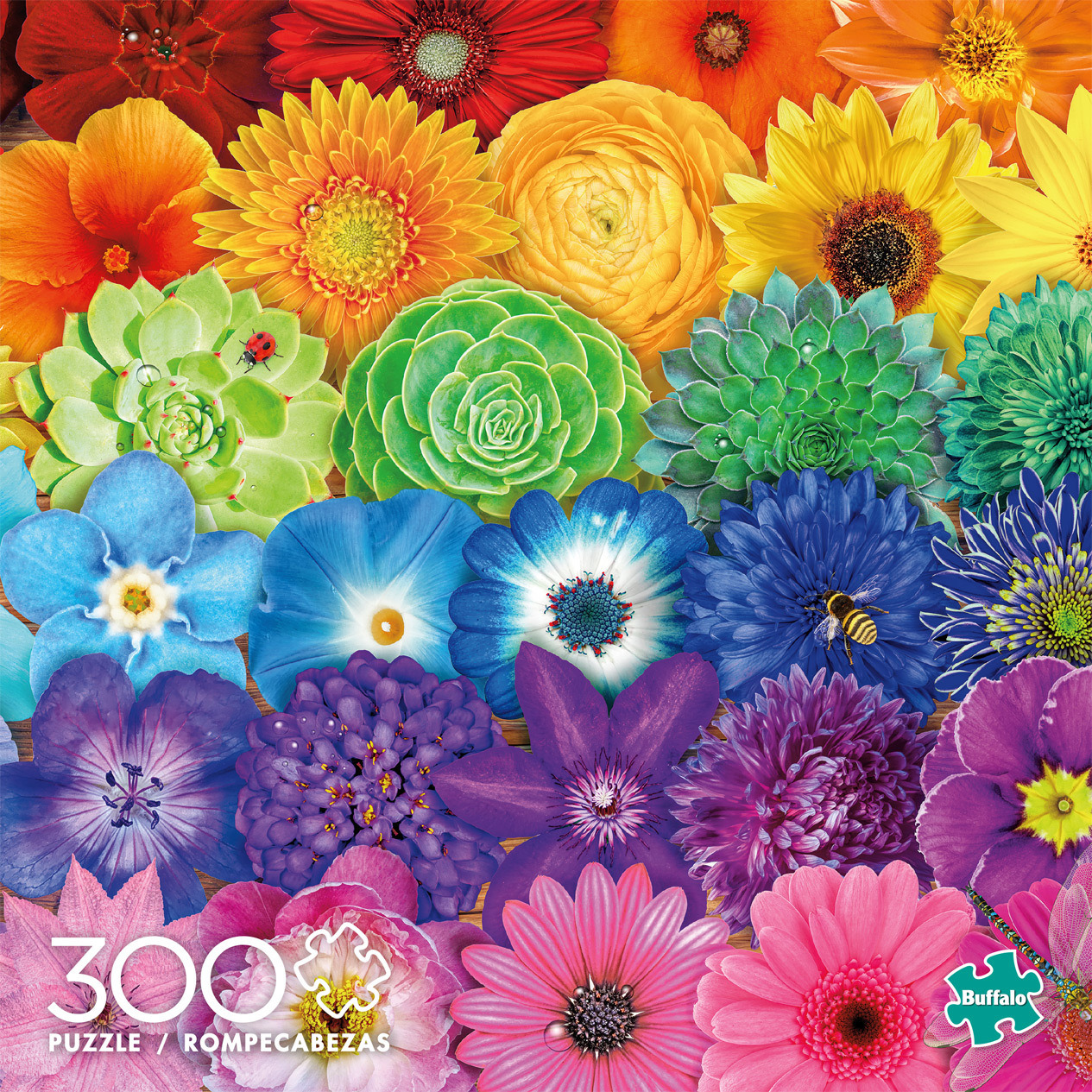 Rainbow Flower Gradient
