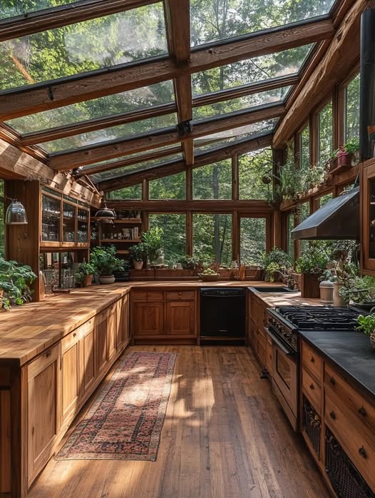 Rustic log cabin kitchen with glass ceiling surrounded by trees and green plants