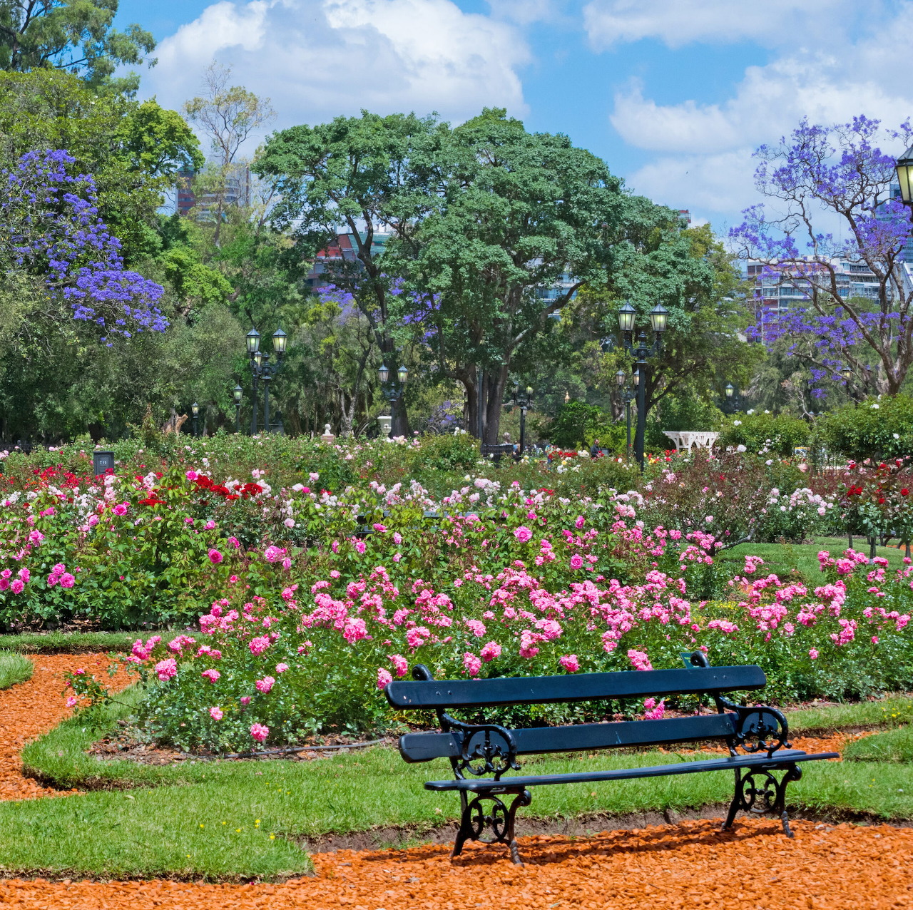 Rosedal Rose Garden
