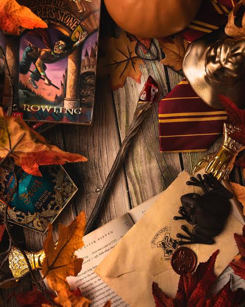 Harry Potter Flat Lay
