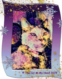 Artistic dilute tortoiseshell cat portrait with pastel colors on purple starry background, framed by snowflakes