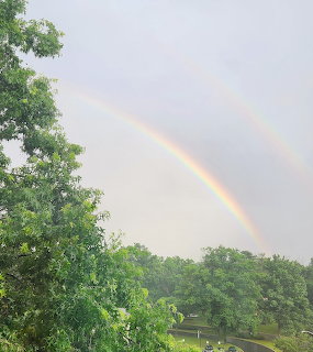 Double rainbow arcing over green trees against cloudy sky