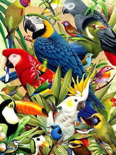 Colorful parrots and tropical birds among lush jungle leaves
