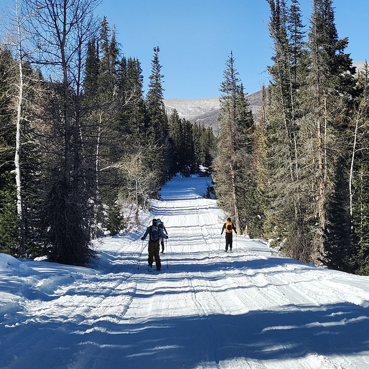 Two skiers on snowy ski trail between trees with mountain backdrop