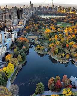 Aerial view of Central Park in autumn showing colorful trees, a lake, and New York City skyline