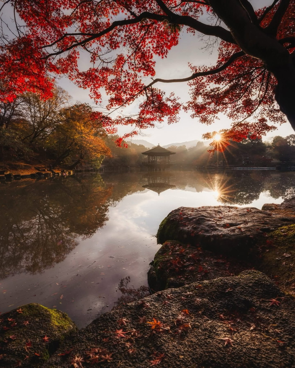 Red maple tree overhanging a calm lake with a traditional pavilion and sunstar at sunrise in autumn