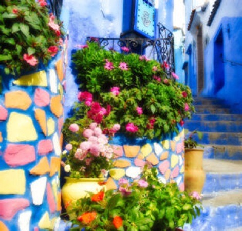 Flower pots with pink and red blooms on blue painted street steps in Chefchaouen