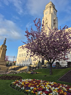 Barnsley Town Hall clock tower with pink cherry blossom tree and colorful flower beds in spring