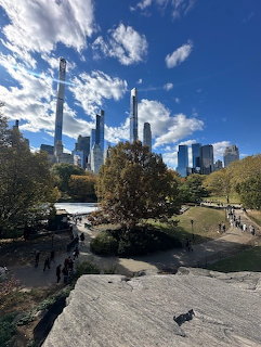 New York City skyline viewed from Central Park with skyscrapers, trees, and blue sky