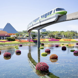 Epcot Monorail and Flowers