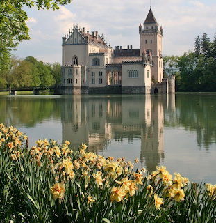 White castle with tower reflected in pond, yellow daffodils in foreground