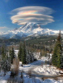 Mount Rainier snow-capped peak above evergreen forest and meadows