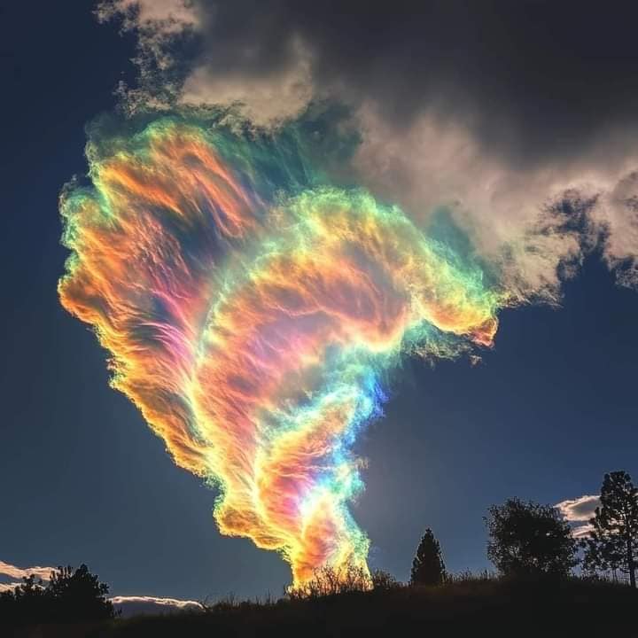 Vivid rainbow-colored iridescent cloud formation glowing against dark blue evening sky with tree silhouettes