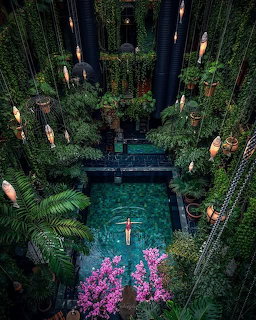 Tropical Hotel Pool Courtyard