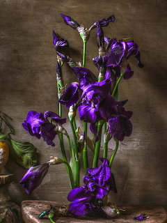 Deep purple iris flowers arranged in a vase against a brown backdrop