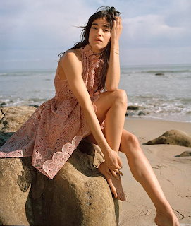 Woman in pink lace dress seated on beach rocks with ocean and cloudy sky behind her