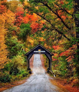 Covered Bridge in Autumn