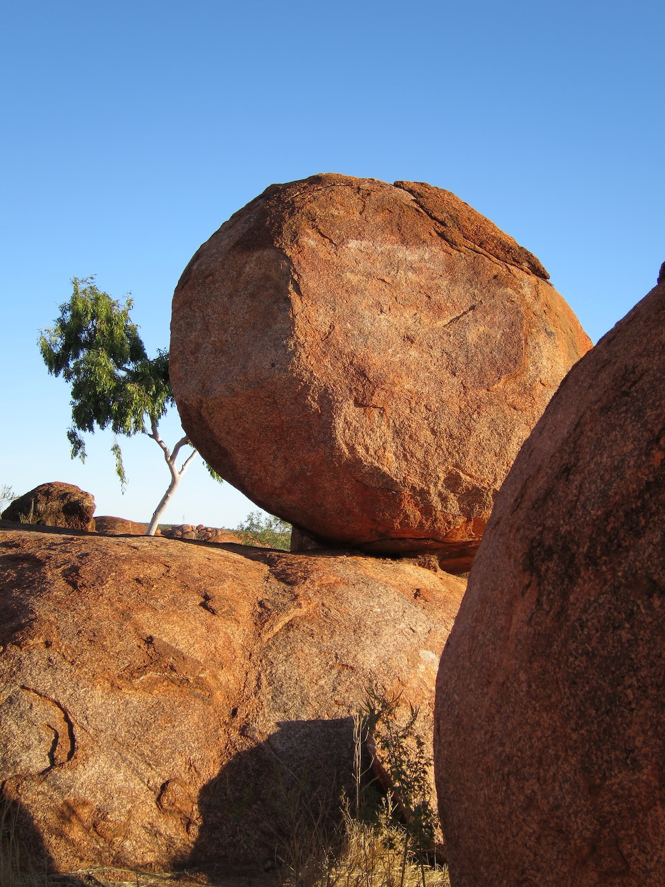 Large round granite boulder balancing on rock at Devils Marbles, Central Australia, with a small tree and blue sky