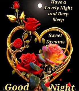 Golden wire heart shape with red, yellow, and pink roses on dark background with good night message text