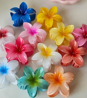 Colorful Plumeria Hair Clips