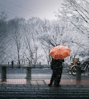 Person holding orange umbrella in snowstorm next to bicycle on sidewalk with bare trees