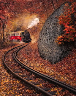 Red steam train on curved tracks through autumn forest with fallen leaves and orange trees