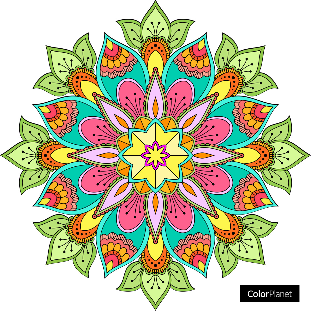 Colorful symmetrical mandala with floral petals in pink, yellow, green, and turquoise on white background