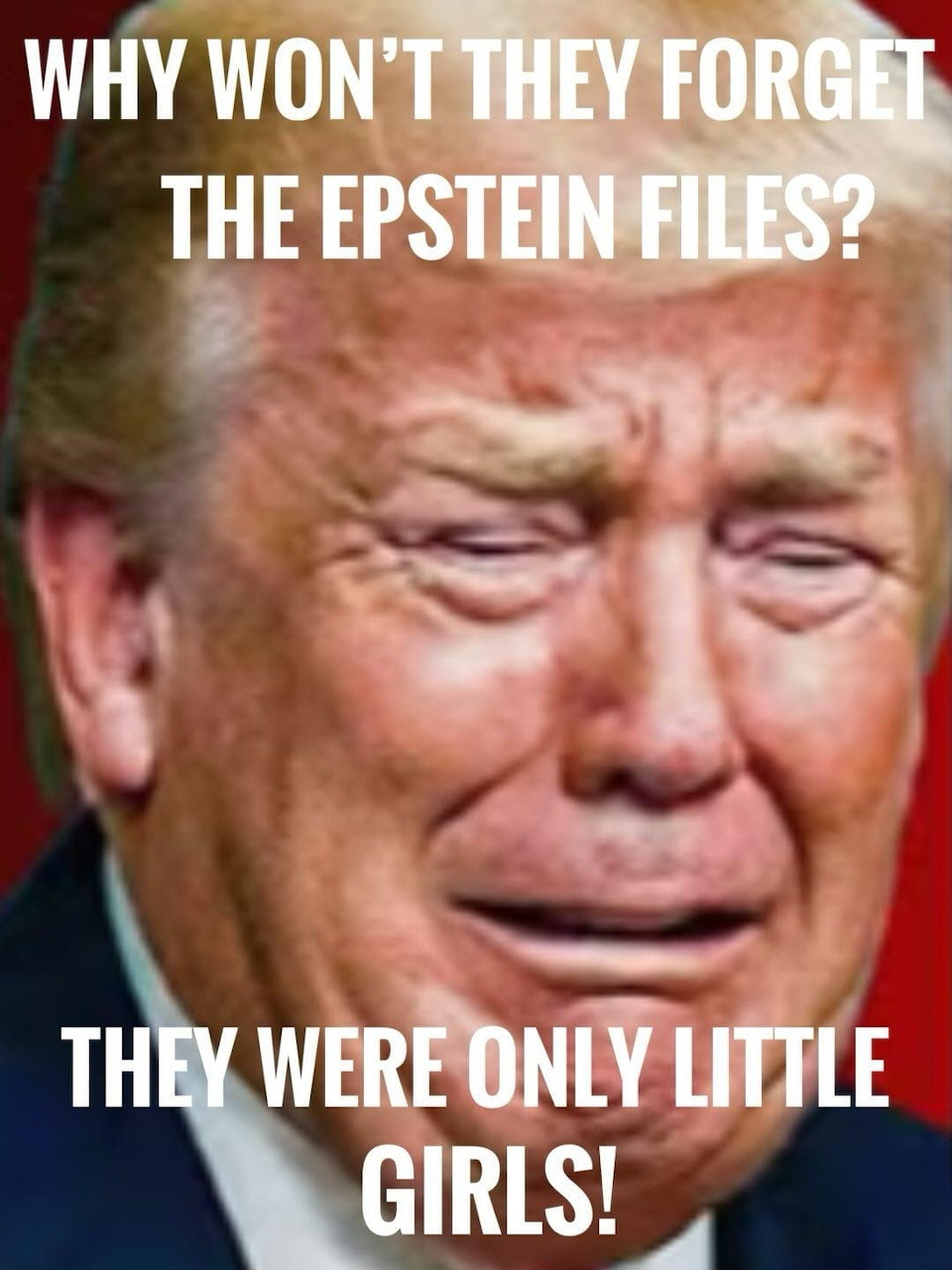 Donald Trump Meme