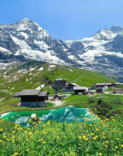 Swiss Alpine village with chalets, turquoise pond, green meadows, yellow flowers, and snowy mountain peaks