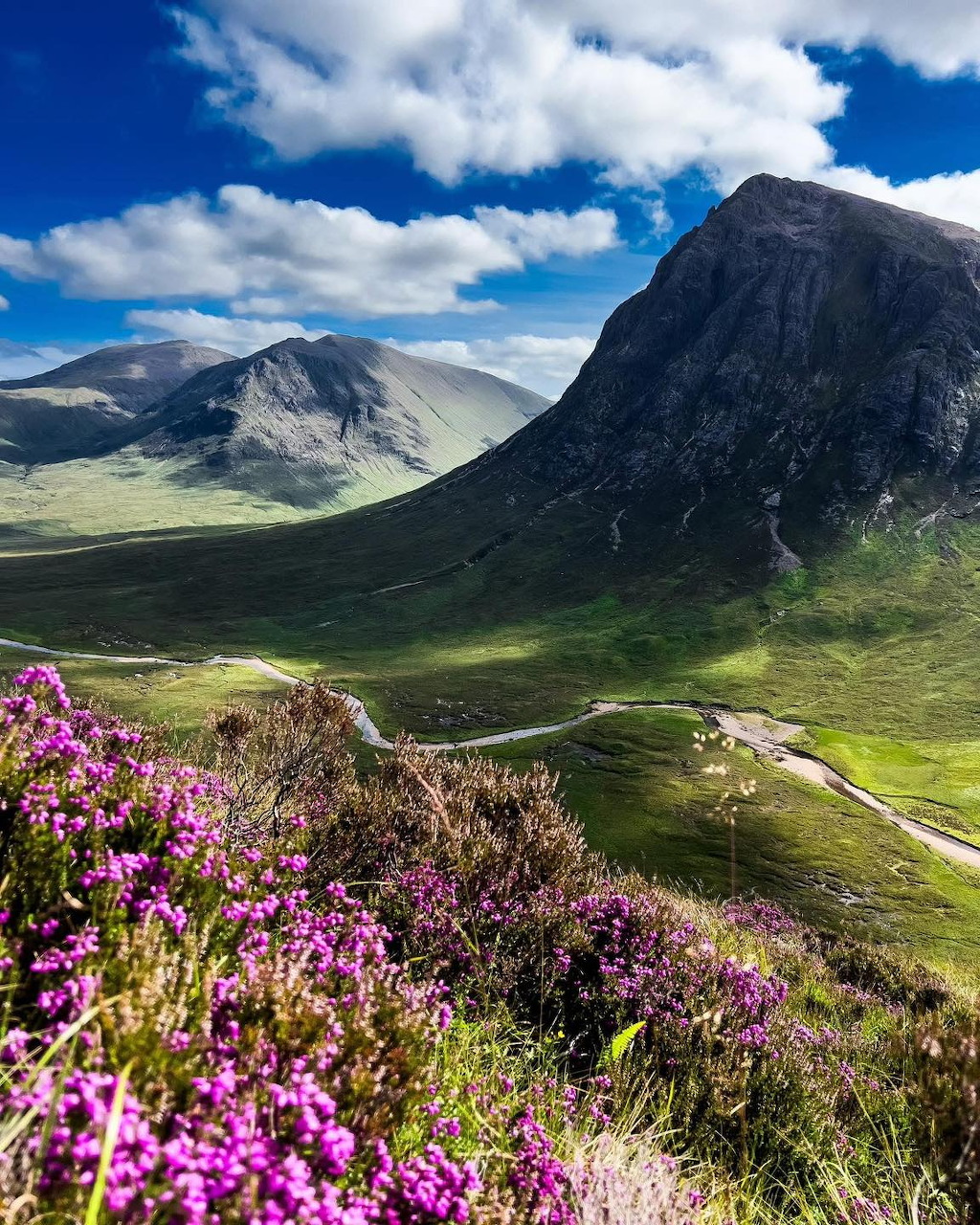 Green highland valley with purple heather, rocky mountains, and blue sky with clouds