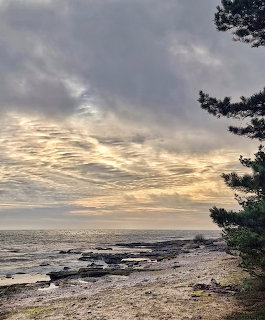 Rocky beach at sunset with cloudy sky, calm sea, and pine trees along the shore