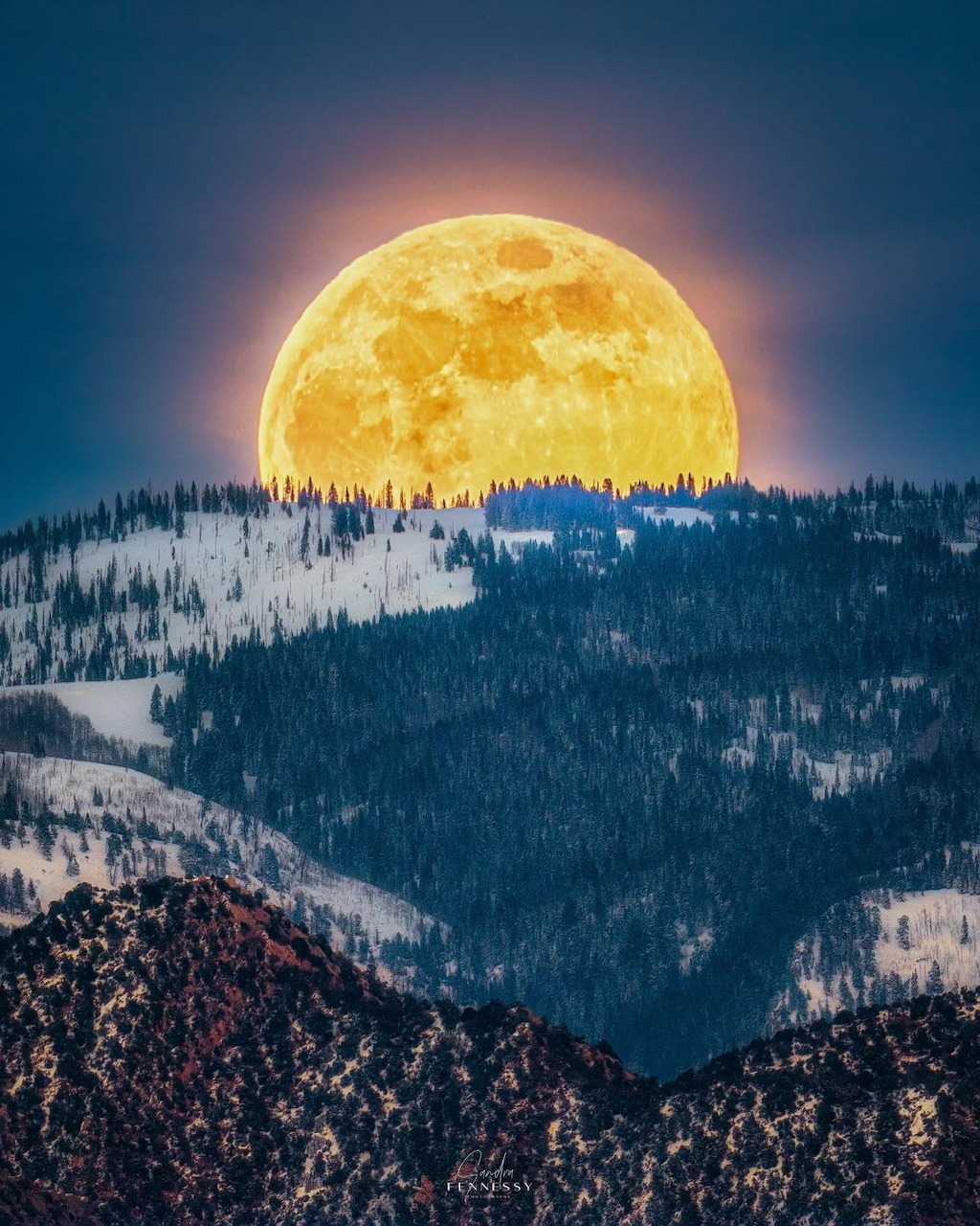 Large golden moon rising over snow-covered mountain range with dark evergreen forest in winter twilight