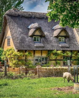 Yellow thatched cottage with dormer windows and sheep grazing in front garden