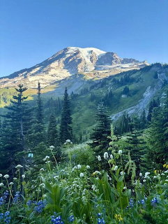 Mount Rainier rises above green meadows with wildflowers and evergreen trees under blue sky
