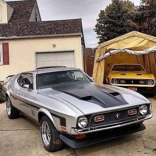Silver Classic Mustang
