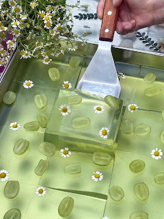 Hand lifting a clear green jelly dessert with embedded daisies and grapes from a metal baking tray