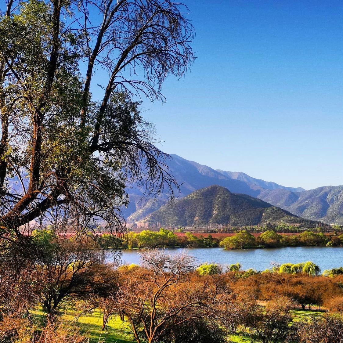 Trees beside a calm lagoon with dry grasses and mountains under a clear blue sky