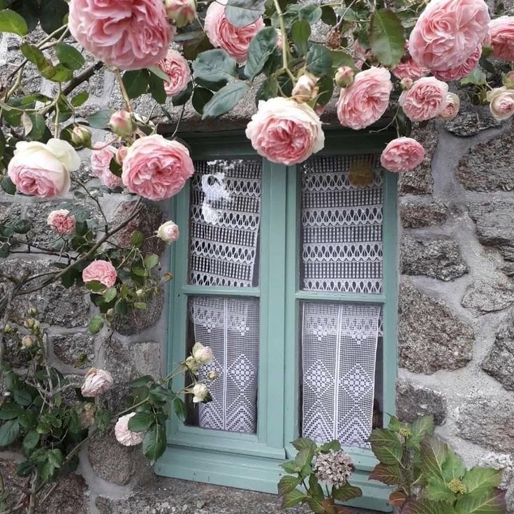 Turquoise cottage window surrounded by pink climbing roses on stone wall