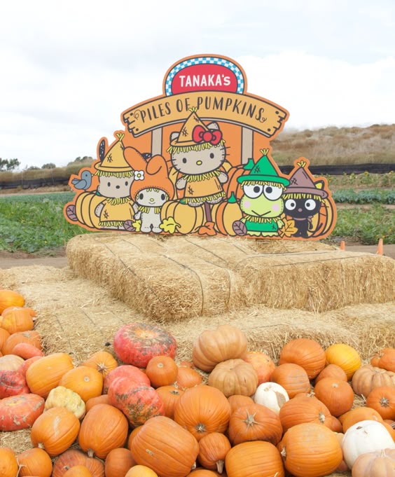 Hello Kitty sitting in a pumpkin patch with orange pumpkins