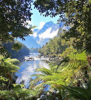River flowing through New Zealand forest with mountain peaks and ferns framing the view