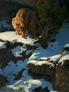 Cat's Lair Mountain Lion