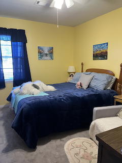 Guest bedroom with yellow walls, navy blue bedding on a wooden bed, dark curtains, and wall paintings