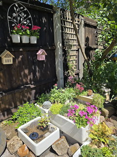 Container garden with white ceramic sink planter, colorful flowers, succulents, and decorative shelving on wooden fence