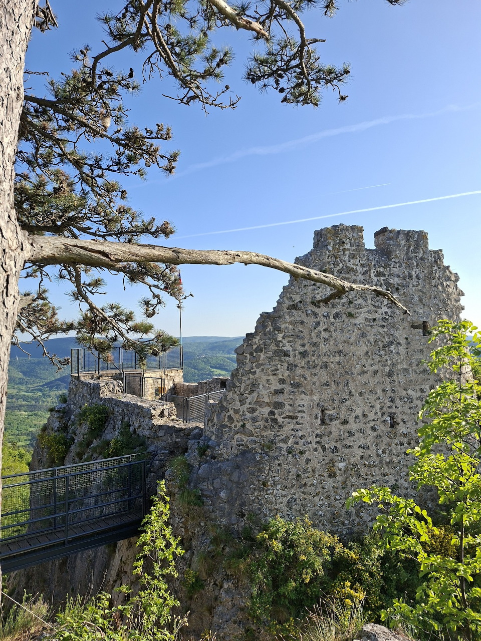 Stone fortress ruins with pine tree branches in foreground against blue sky and distant mountains