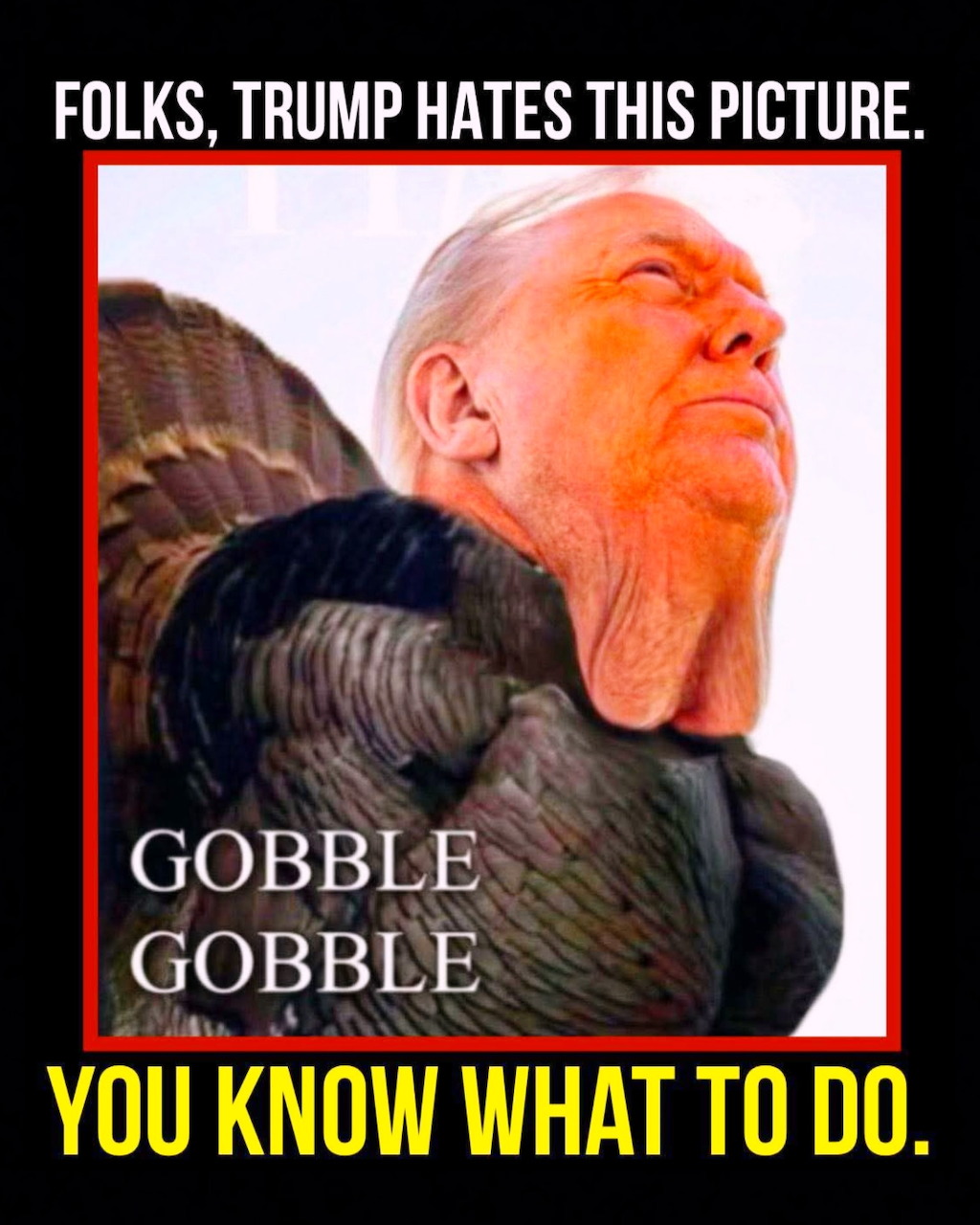 Meme of Donald Trump's head composited onto a turkey body with caption text