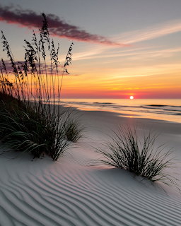 Sunset over white sand beach with dune grass and rippled sand patterns