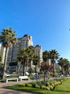 Palm trees and green lawns in front of tall apartment buildings under a clear blue sky