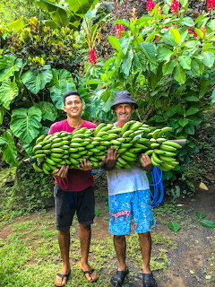 Two smiling men carrying large bunches of green bananas on a tropical jungle path